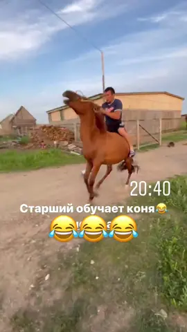 Старший брат обучает коня😂🦁 #лошадь#рек#опасно