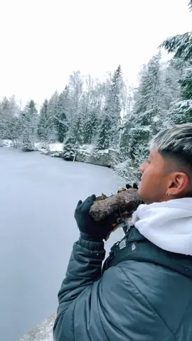 Sound explosion at my beautiful frozen quarry 🦍 #iceicebaby #breakingice #germany #winteringermany #winterdestinations #bavaria