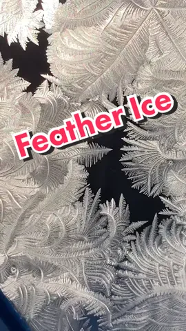 #featherice #feathericegrowing #feathericecrystals #icecrystals #growingcrystals #icecrystalsgrowing