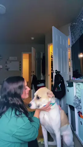 Nala completly understood the assignment. peep her sticking her tongue in my mouth 🤦🏼‍♂️😅 #ITriedItIPrimedIt #dogmom #dogsofttiktok