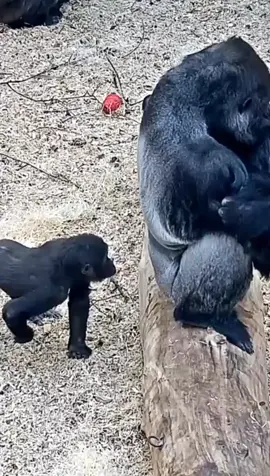 советы пикапа