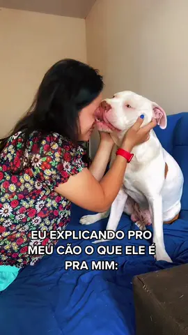 Por esse final, podemos dizer que esse amor recíproco não é mesmo? 🙈🥰 #pitbull #pitbulllove #maedepet #babydog