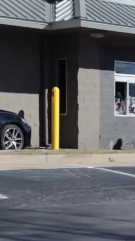 Video: They Didnt Like My New Car! *link in bio* #luhalexz#fyp#fypシ#xyzbca#viral#youtuber