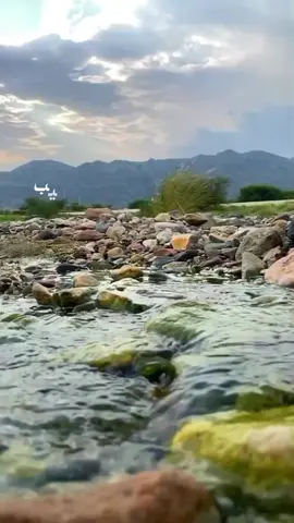 حنا على الخوه نسوق المواجيب#اكسبلور #مشاهير_تيك_توك #تصاميم #السعودية #عليان #أل_لعلاء #تصميمي