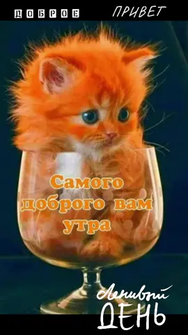 #воскресенье #сдобрымутром #всемдобра #oksanash68