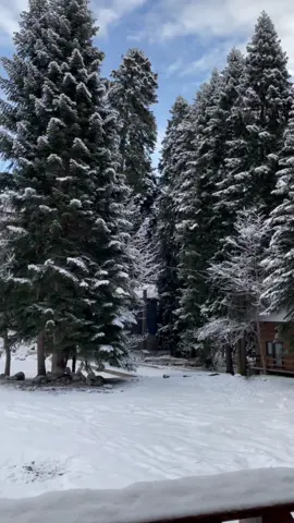 Архыз 🗻#рек #архыз #путешествия #краснаяапасная #архызski #топ #тиктокпятницы