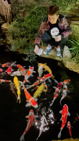 Thưởng tết 🐠 :)))