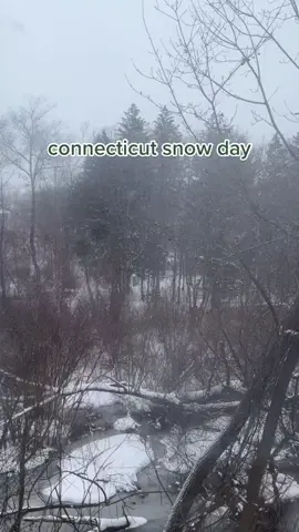 goodnight #snow #connecticut