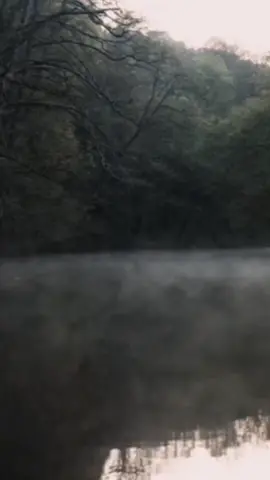 The Motans feat Irina Rimes - Poem #foryou