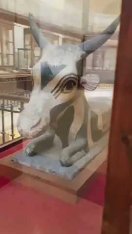 A dream come true ✨🌙 #egypt #museum #nationalmuseumofegypt #mummy #tutankhamun #elcairo #travelthrowback