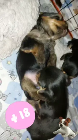 +18 🙈🙈🙈🙈🙈🙈🙈