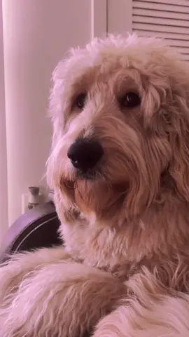 He rolling his eyes😂😂😂