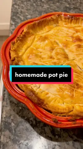hi to my 4 friends glad the gang is all here look at my vegetarian pot pie 🥺🥧🥕🧅🧄🥔🧡 #cooking #vegetarian #cookwithme