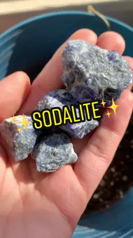 Have you ever seen sodalite under a UV light? #sodalite #blacklight #fluorescentminerals #fluorescent