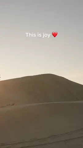 Sun setting over the dunes with my favorite adventure buddy ❤️ #dogsofttiktok #goldenretriever #utah