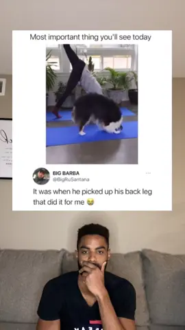 #fyp #foryou #foryoupage #xyzbca #viral #wholesome #dog #yoga #amazing