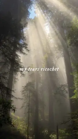 my tears ricochet lyrics! #taylorswift #swiftie #tswizzleslefttoe #lyrics #mytearsricochet #folklore #beautiful