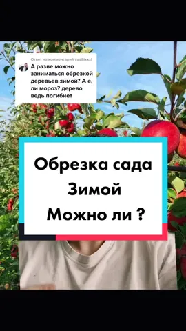 Ответ пользователю @vasiliixxxl  #переписка #обрезкасада #обрезкаплодовыхдеревьев