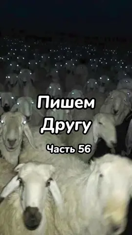 Можно получить от тебя подписочку🥺🙏 #рекомендации #гоактив #fyr #on #fyp #mr_sweet_pie_ #переписка #пранк #тренд #часть56 #люблю