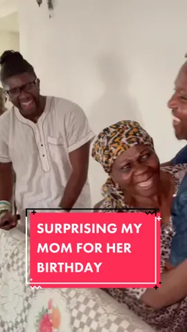 Happy Birthday Surprise 😮 ~ #DogTraining #dogtrainer #nigeriantiktok #nigeria #fyp #foryou