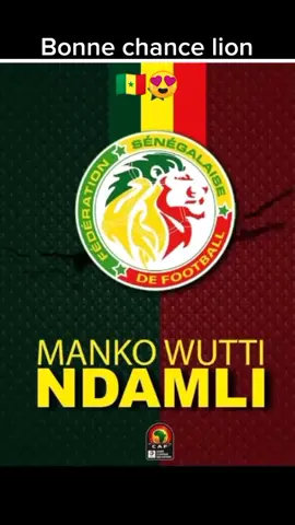 🇸🇳😍