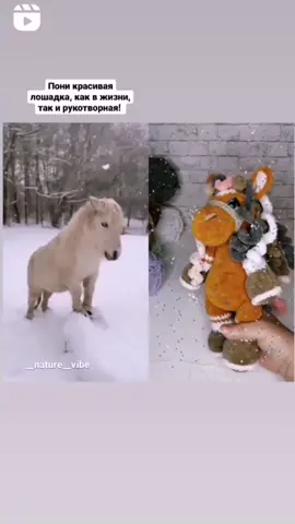 Вязаная лошадка пони.Игрушка прекрасно подойдёт в качестве подарка, как для ребёнка, так и для взрослого Лошадка📏Рост 29см🧶Пряжа - плюшевая☁️Наполнитель - холлофайбер 👀Глазки на безопасном креплении 💰Цена 1700₽🚀Доставка в любую точку 🌐🎁Бонусом за ваш выбор - красивая упаковка в подарочный пакет с нарядной лентой. Игрушка пока в наличии. Можно заказать в любом цвете.  Если хотите такую, пишите мне в сообщении.#FYP #вязанаяпони #вязанаяигрушка #подарокдлядевочки #чтоподарить