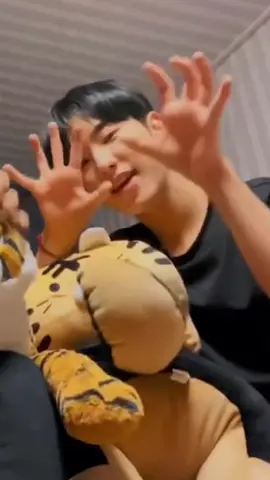 SEVENTEEN's one and only tiger HOSHI wishing you a powerful Year of the Tiger ahead! HORANGHAE 🐯 💛 #HOSHI #SEVENTEEN #호시 #세븐틴 #호랑해