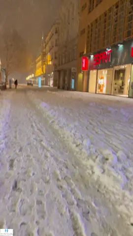 Snowfall in Munich, Germany 🇩🇪❄️⛄️😍❤️🥶 #Munich #Germany #Bayern #Bavaria #Snowfall #Munchen #snowfalling #Europe #winterwonderland