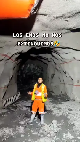 #emo #panda #minas #mineros #procedimientosparallegarauncomunacuerdo