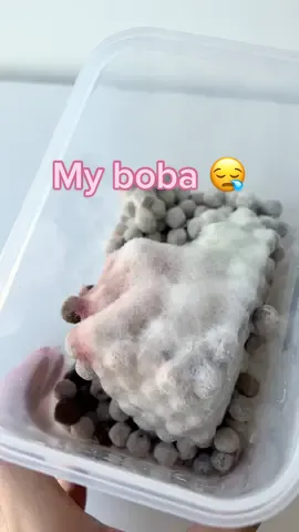This is what I get for putting everything inside different containers and not writing down the expiration dates #asmr #mold 🦠 🧫