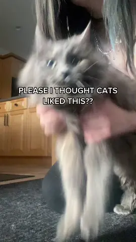 I seen a tiktok ab it but she only likes her neck being pet 😭