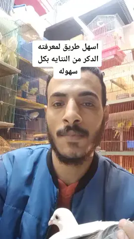 الطريق السحريه لمعرفته الدكر من النتايه بكل سهوله 💪 بقى الفيديو عله قنات عمده خليفه