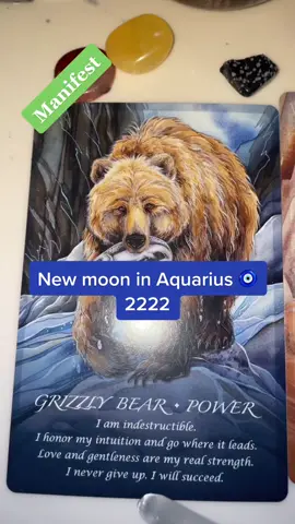 #newmoonmagic #magic #manifest #aquariusmoon #abundance #intuition #trustyourgut