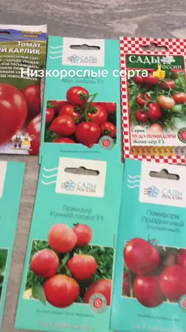 #рекомендации #живунаурале #популярное #декорсвоимируками #семена #дача #помидор #рассада #мойогород #моядача#огурцы #мойсад #моирекомендации #хобби #