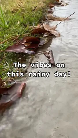 On today’s menu! Enjoy!  #dinnerisserved #dinnerisready #foodporn #Foodie #shecooks #cookingvideos #cookingathome