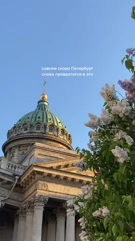 волшебный💚 #эстетикапитера #эстетикапетербурга #майвпитере #веснавпитере #питерфм #поехаливпитер