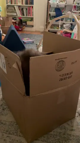 Surprise! #DIYwithBlock #fyp #toddlertok #toddlersoftiktok #toddlermom #foryoupage