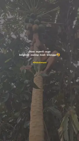 TidakTampan#fypシ゚viral