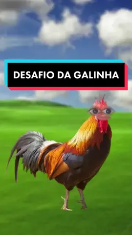 Responder @mmb0_zorro qual o próx? vou escolher o mais criativo 💃🐔