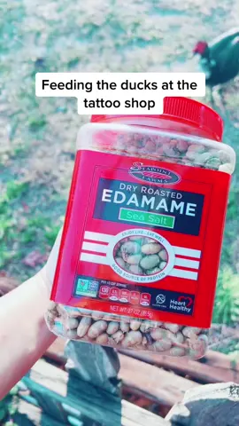#ducks  #ducksoftiktok