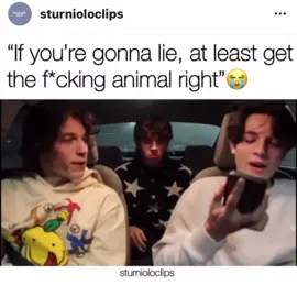 @christophersturniolo @nicolassturniolo @mattsturniolo