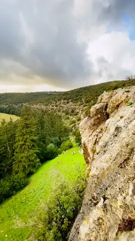 #ليبيا🇱🇾 #برقه🖤🔥 #البيضاء_الجبل_الاخضر #غابه#بلغرا #fyp #fyp