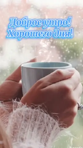 #доброеутро #утро #хорошегонастроения