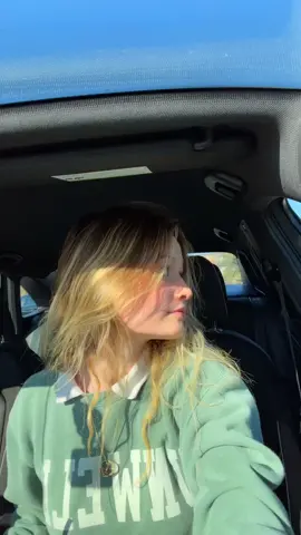 #ColorCustomizer