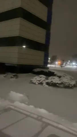 #limpiado #la #nieve #snow #se #vino #workflow #❄️ #❄️❄️❄️❄️ #🥶 #🤑 #aora #si #quiero #la #cobija #del #wey #de #la #feria #puroshow #purojale #snowplow #aora #si #🤣 #🤙🏼💪🏼 #🔥 #🇲🇽 #🙏🏼 #animo #alos #que #andan #limpiando #la #nieve #snow #🔥🔥🔥