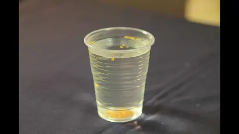 Туговсхожие Семена Перца Прорастут Моментально#семена#перец#огород#сад#дача#рассада2022#рассада##садогород