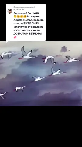 Ответ пользователю @o_safonchic