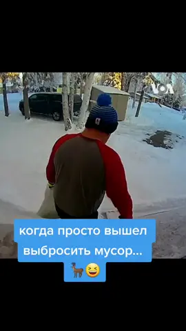 #прикол #шутка #лось #животные #смех #смешно #шутки #рек #рекомендации #fun #funny #humor #rek