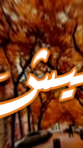 ##العيش والملح عندالبعض #مايقطع#تصميم_فيديوهات🎶🎤🎬 #دعكم_وحركه_الاكسلبو_وتشجيعكم_يه#viral #fyp