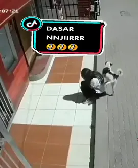 NJIRRRR #LUCU #NGAKAK #story #storywa